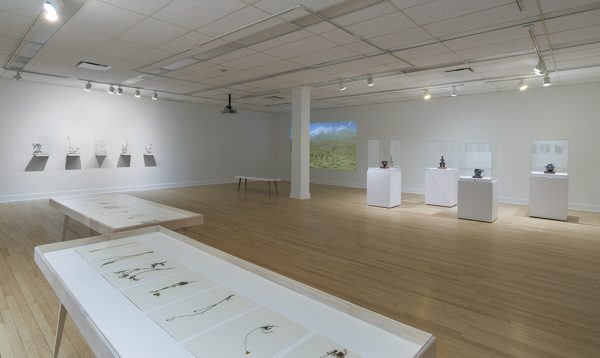 Anahita Norouzi exhibition